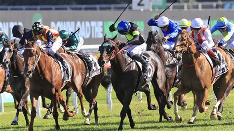 Tab champions stakes day <mark> 11 </mark>
